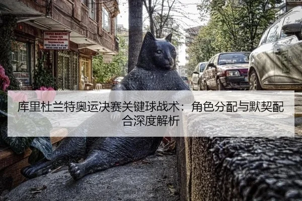 库里杜兰特奥运决赛关键球战术：角色分配与默契配合深度解析