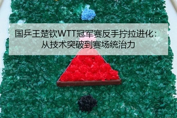 guo-ping-wang-chu-qin-guan-jun-sai-fan-shou-ning-la-jin-hua-cong-ji-shu-tu-po-dao-sai-chang-tong-zhi-li-3-798.jpg
