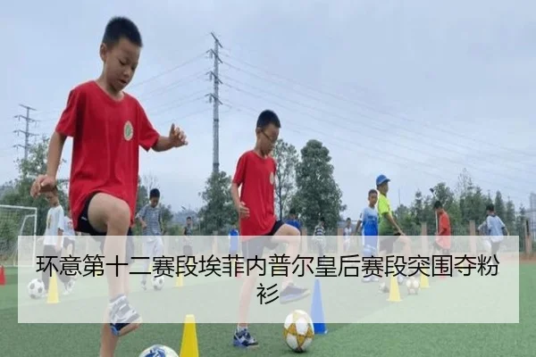 huan-yi-di-shi-er-sai-duan-ai-fei-nei-pu-er-huang-hou-sai-duan-tu-wei-duo-fen-shan-2-932.jpg